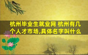 杭州毕业生就业网 杭州有几个人才市场,具体名字叫什么